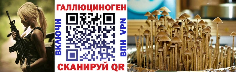 Псилоцибиновые грибы GOLDEN TEACHER  продажа наркотиков  mega сайт  Петров Вал 